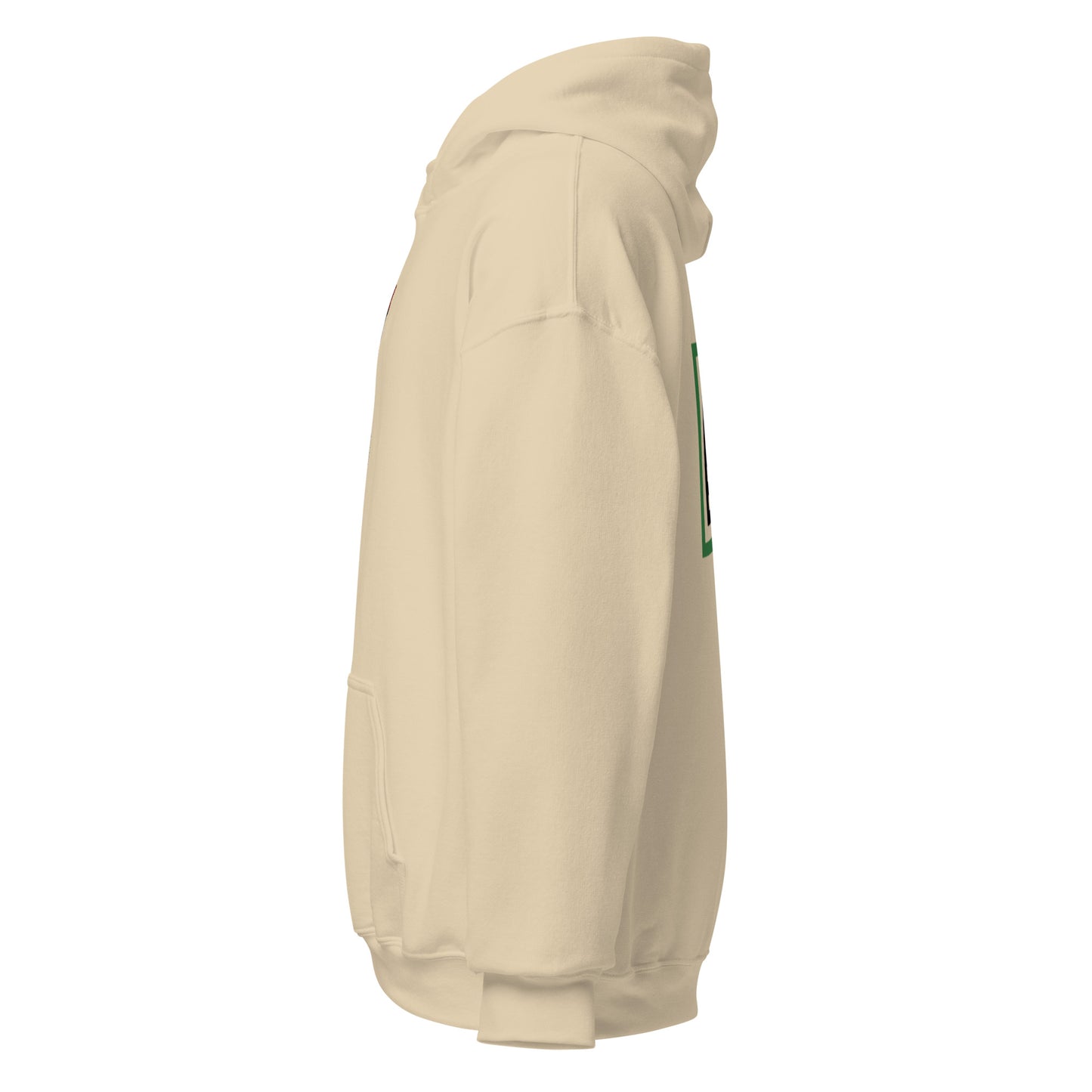 Palestine Hoodie